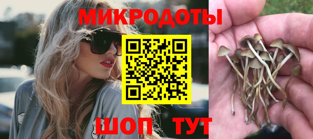 Томск  продажа наркотиков  Вход с VPN  Галлюциногенные грибы GOLDEN TEACHER 
